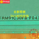 RM91C30FB-F04